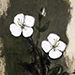 Ichiro Kurihara Gallery
